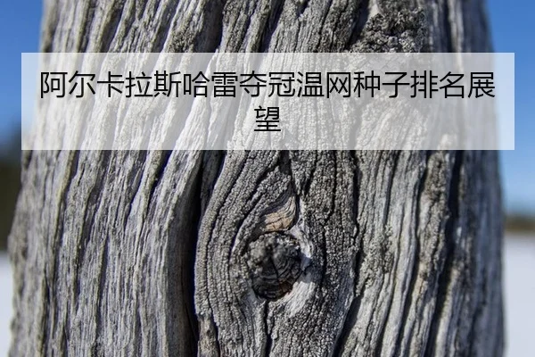 阿尔卡拉斯哈雷夺冠温网种子排名展望
