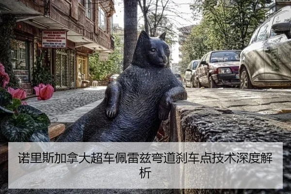 nuo-li-si-jia-na-da-chao-che-pei-lei-zi-wan-dao-sha-che-dian-ji-shu-shen-du-jie-xi-2-328.jpg