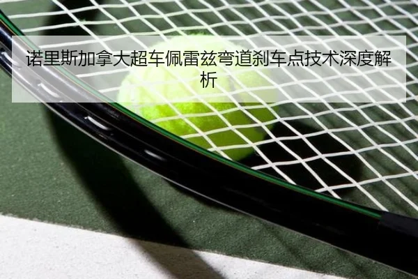 nuo-li-si-jia-na-da-chao-che-pei-lei-zi-wan-dao-sha-che-dian-ji-shu-shen-du-jie-xi-3-400.jpg